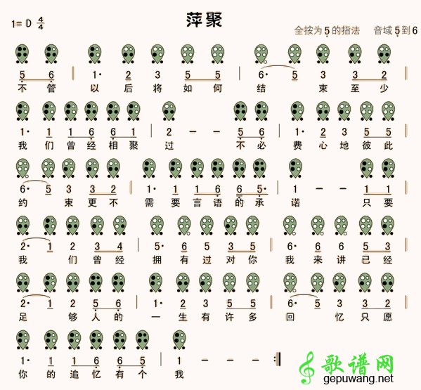 萍聚