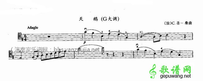 天鹅