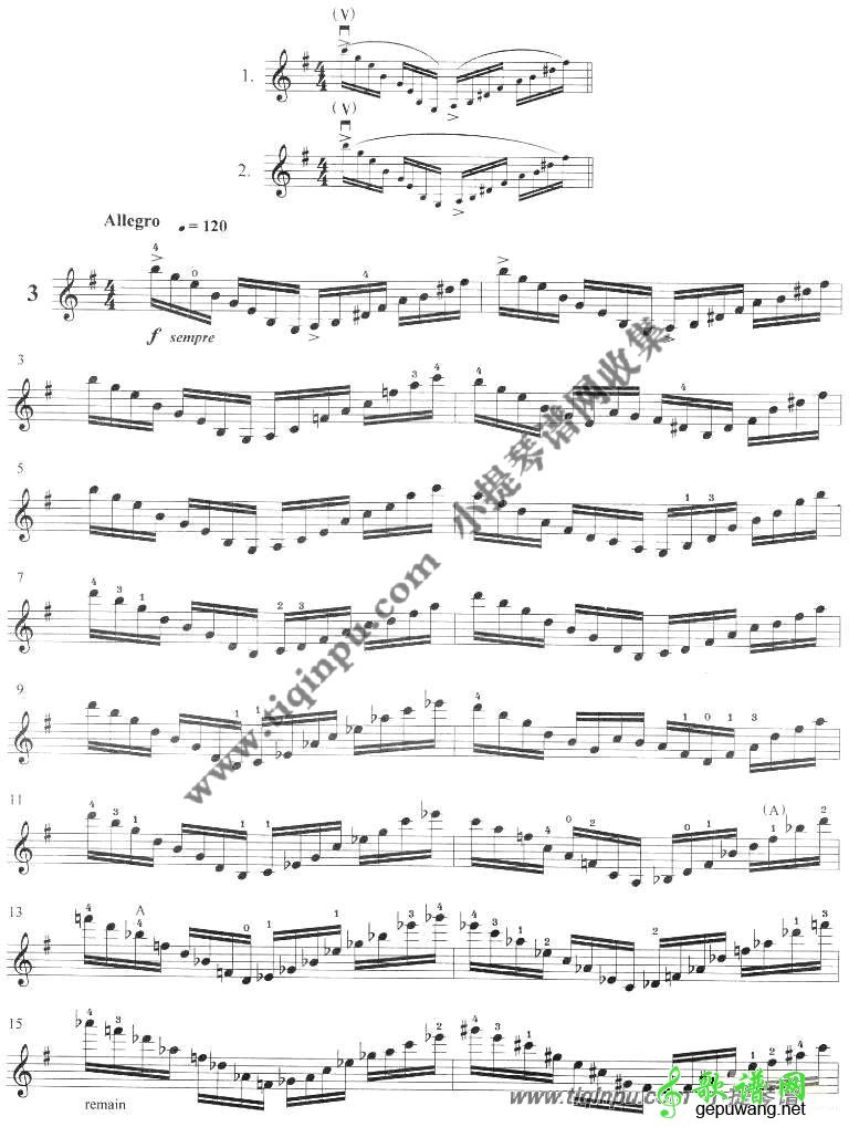 顿特二十四首练习曲op.35全集