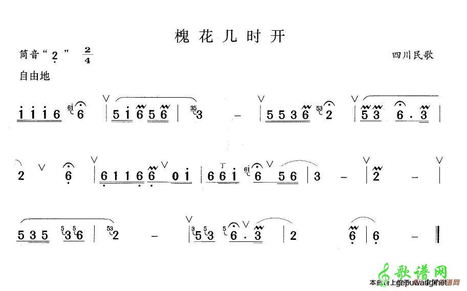 槐花几时开