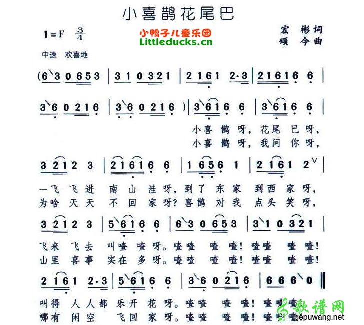 小喜鹊花尾巴