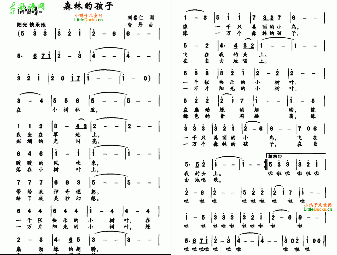 森林的孩子_森林的孩子