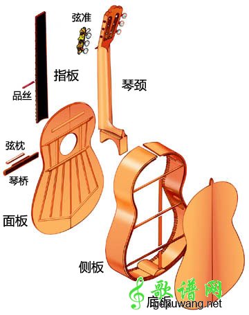 dove单板的保养