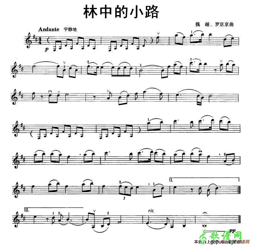 林中的小路