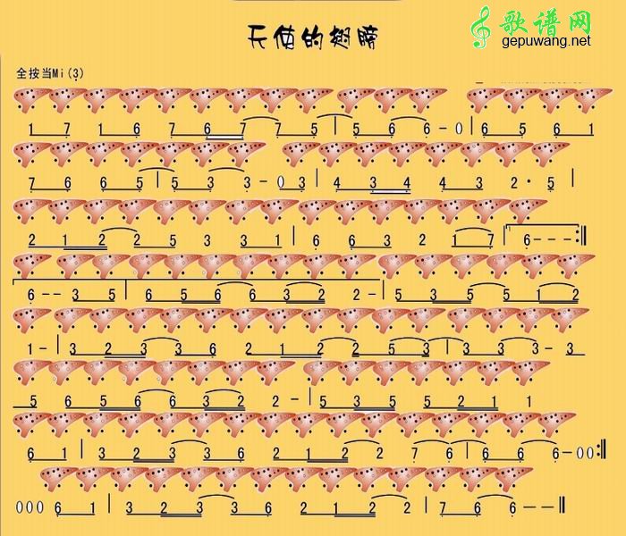 天使的翅膀