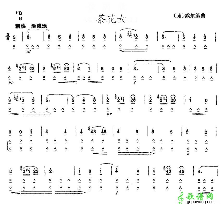 茶花女茶花女