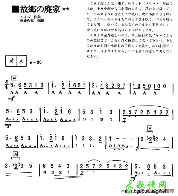 山腰上的家园