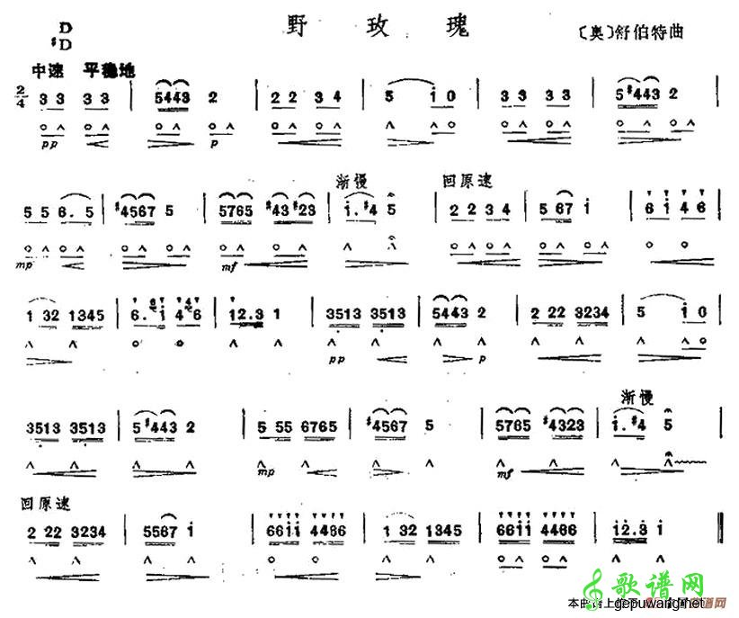 野玫瑰