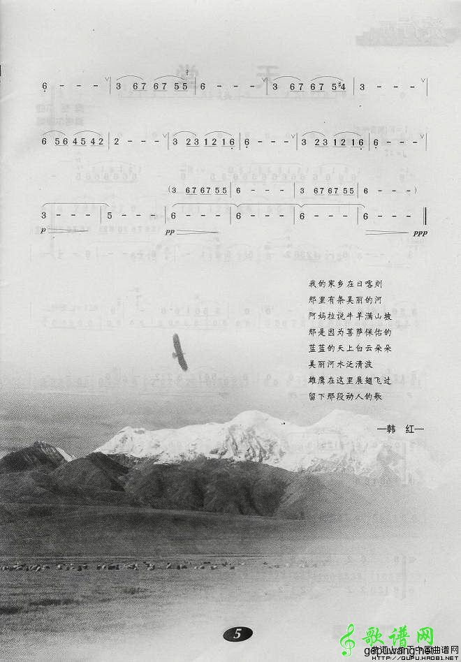 郑强家乡