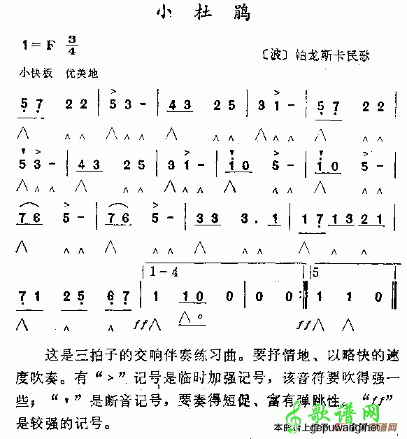 小杜鹃