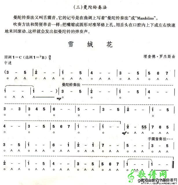 雪绒花