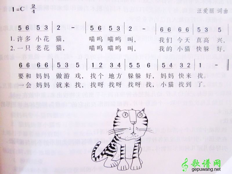 找小猫儿歌找小猫