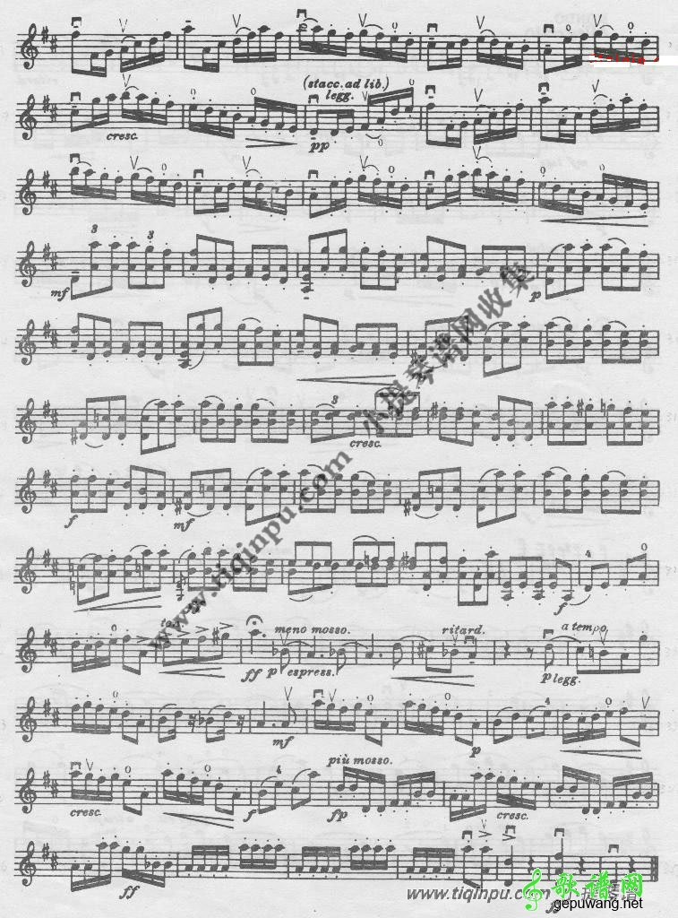 塞茨第五学生协奏曲