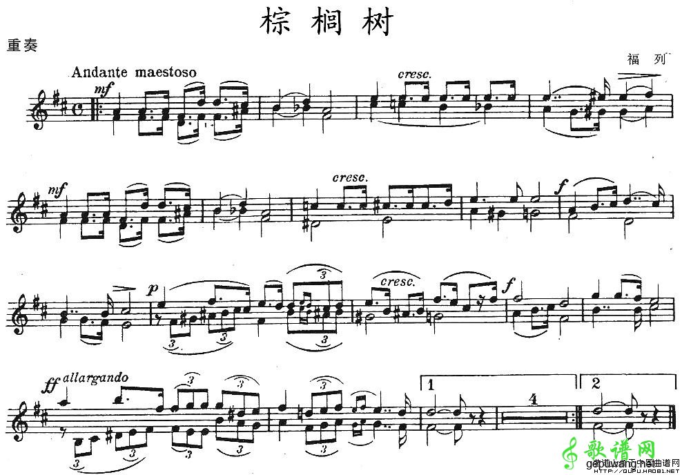 棕榈树