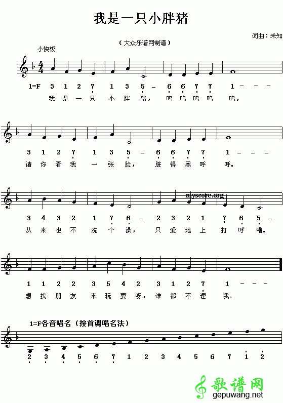 我是一只小胖猪