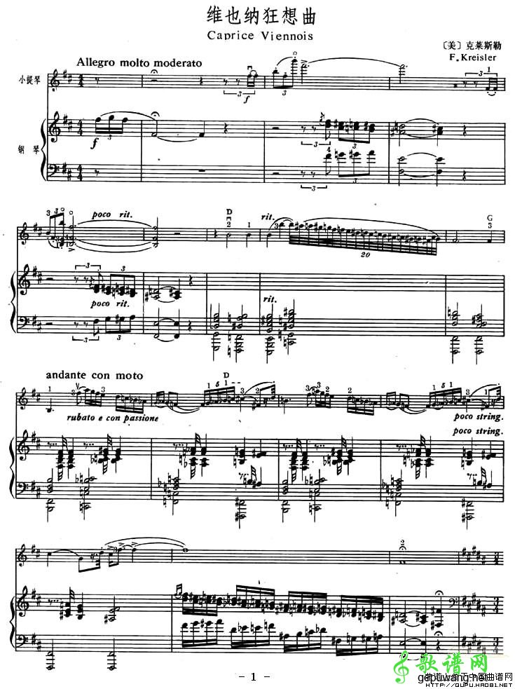 维也纳狂想曲
