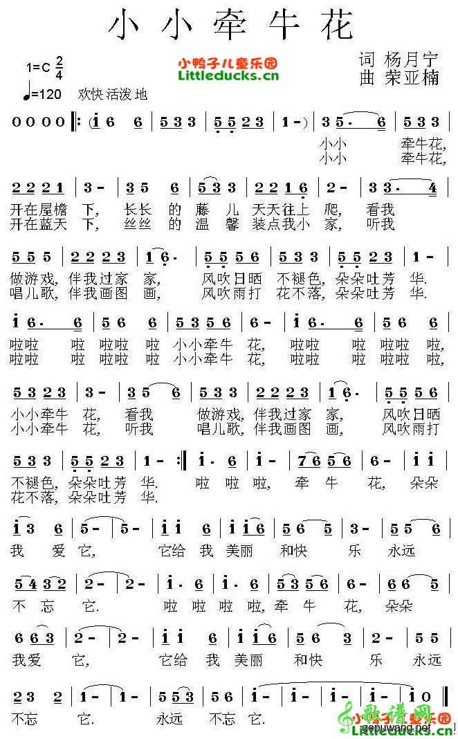 小小牵牛花_小小牵牛花
