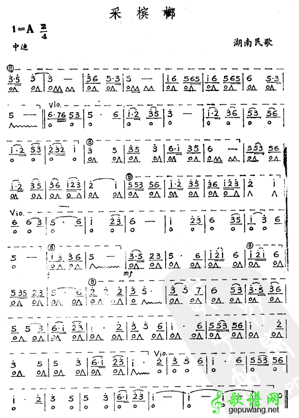 采槟榔