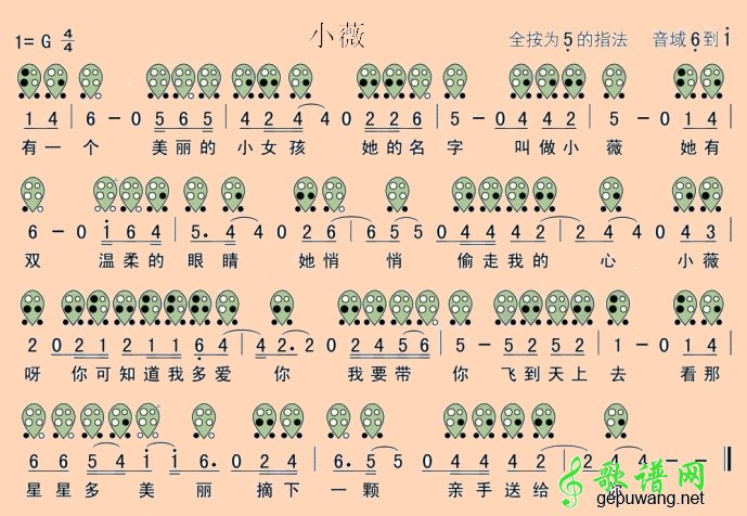 小薇