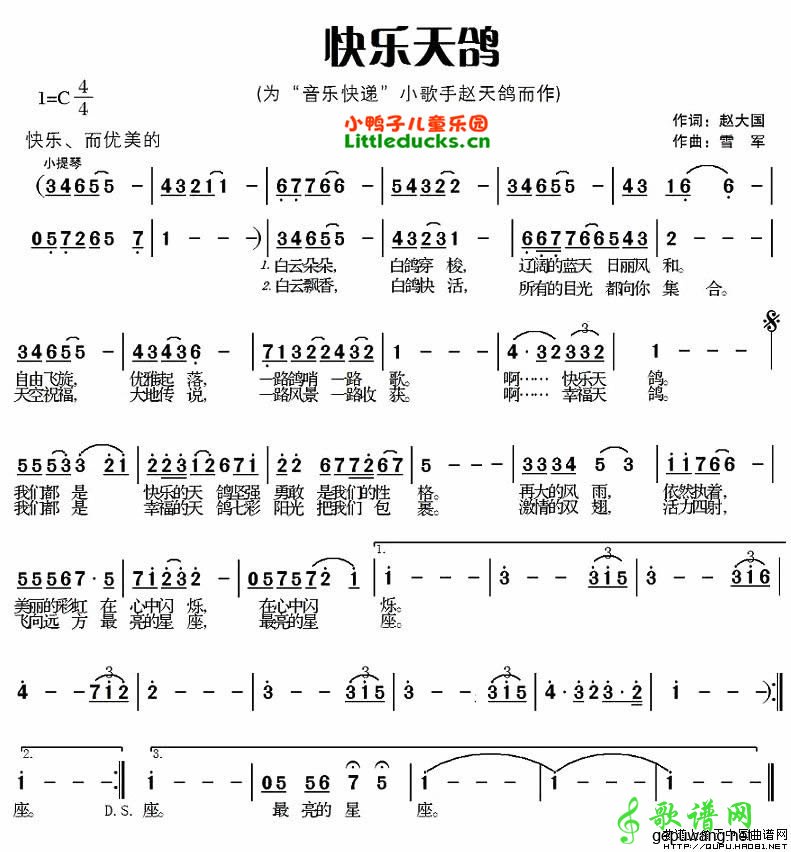 快乐天鸽