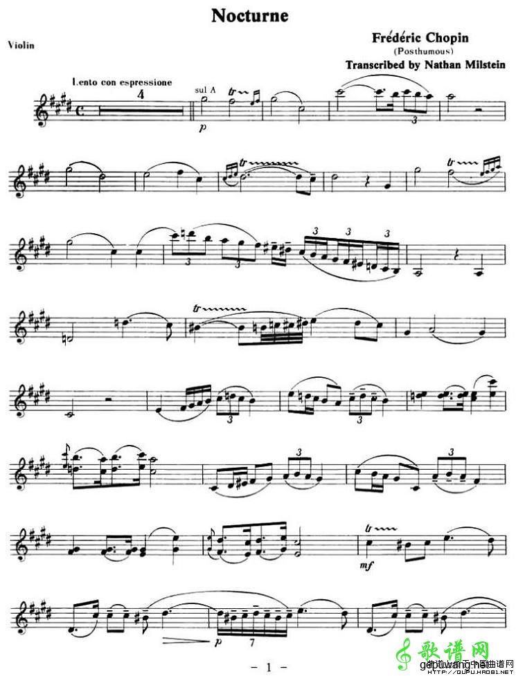 NOCTURNE