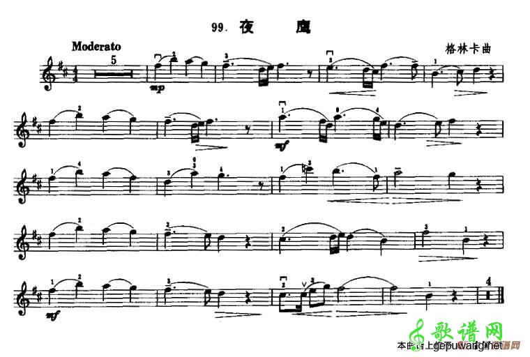 夜鹰