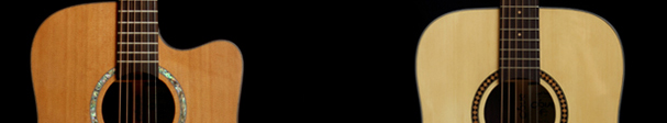 dove单板的保养