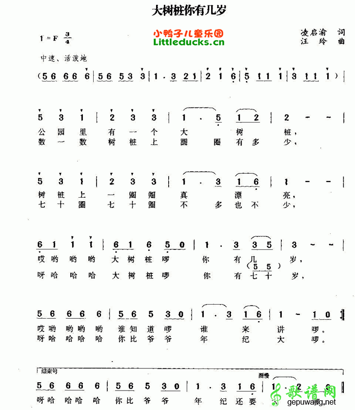 大树桩你有几岁