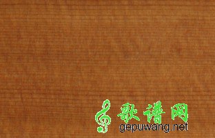 dove单板的保养