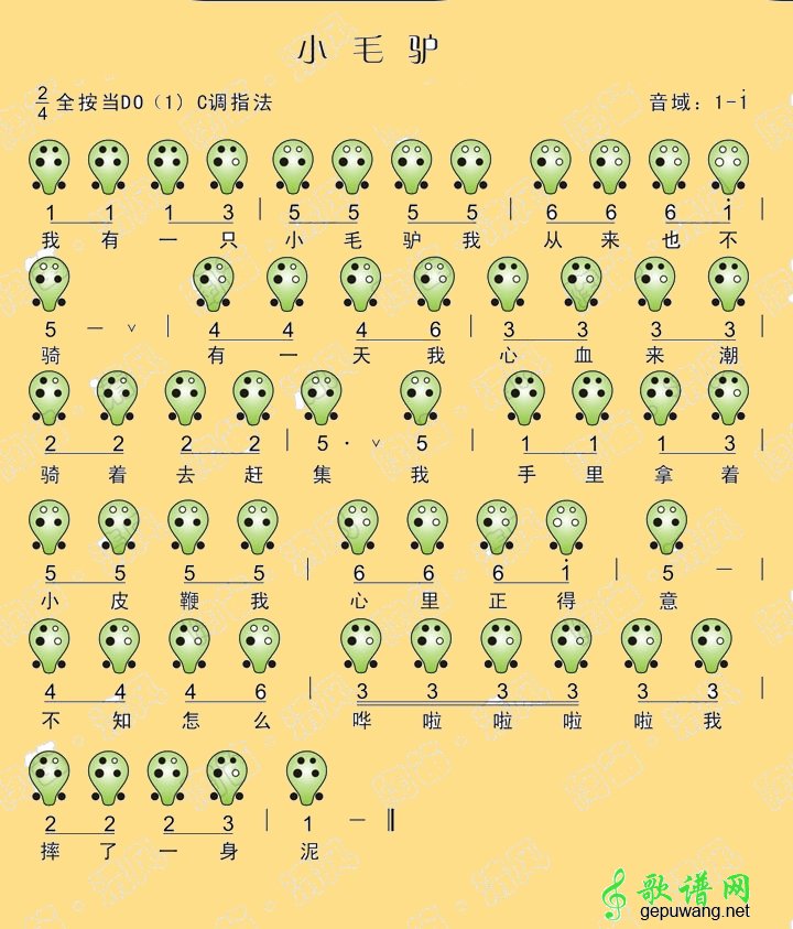 小毛驴