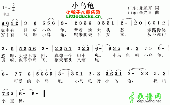 小乌龟
