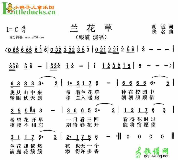 兰花草