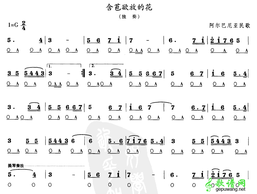 含苞欲放的花