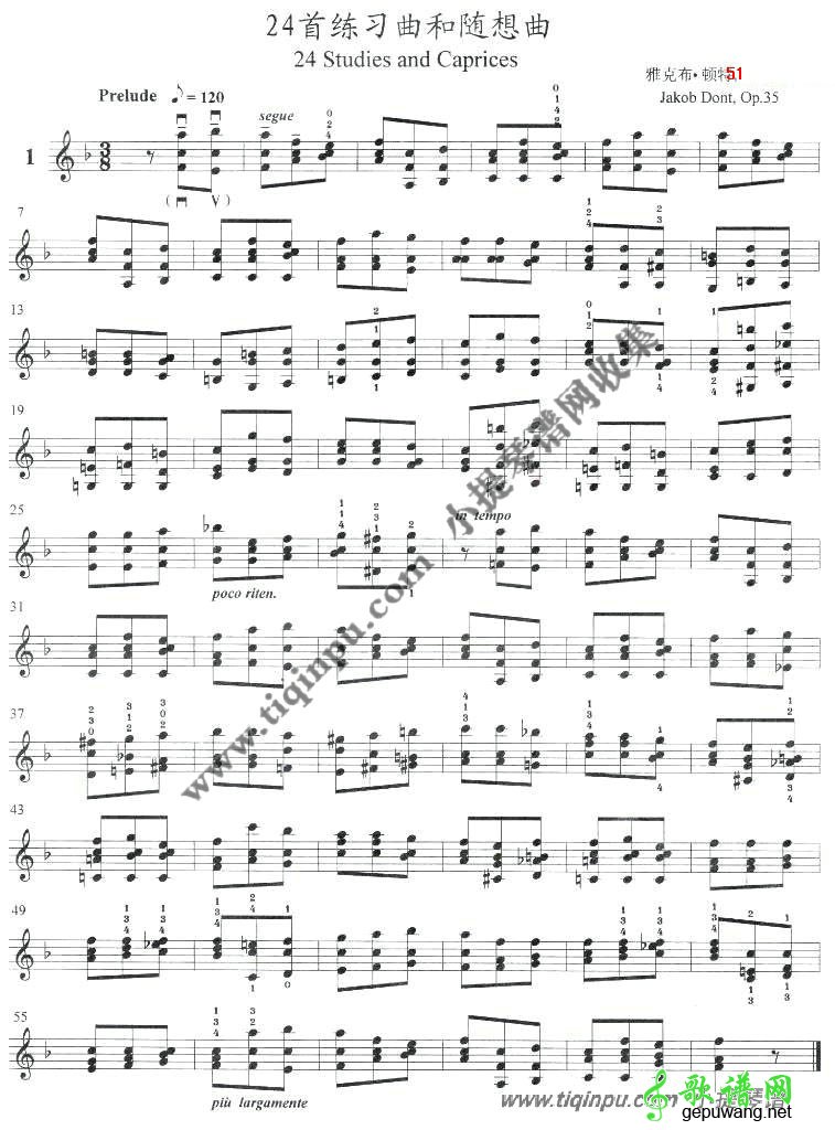 顿特二十四首练习曲op.35全集