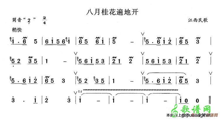 八月桂花遍地开