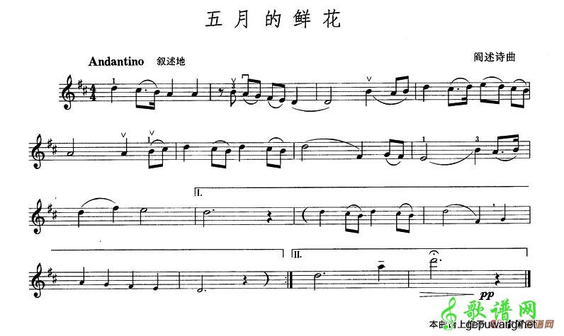 五月的鲜花