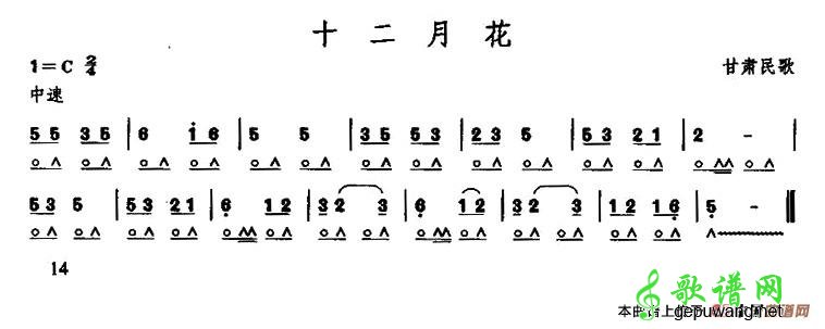 十二月花