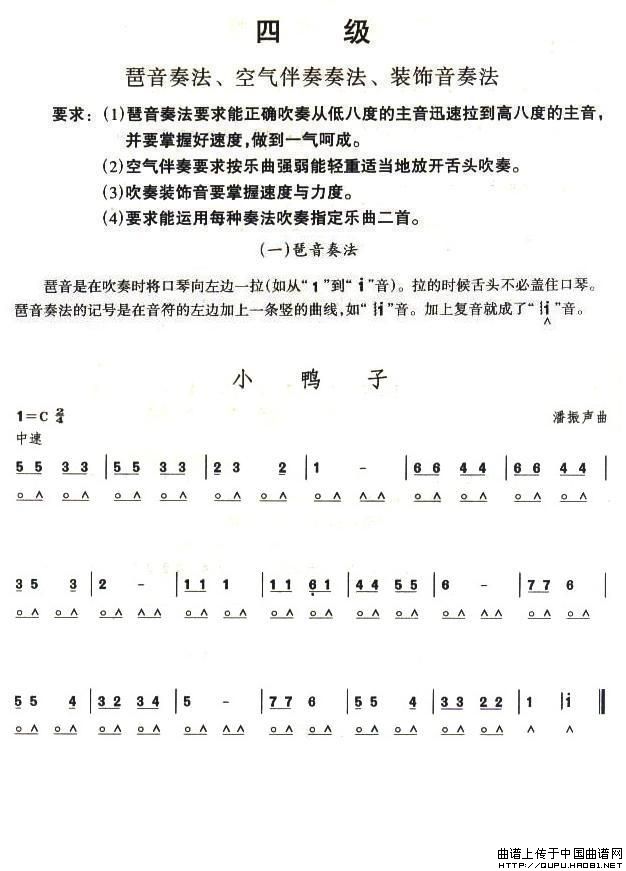 小鸭子