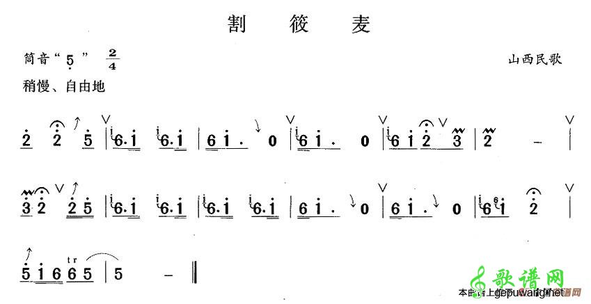 割荞麦