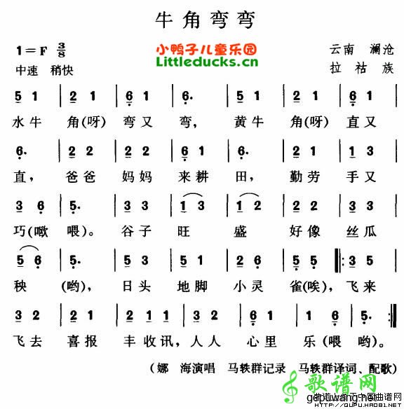 老水牛角弯弯