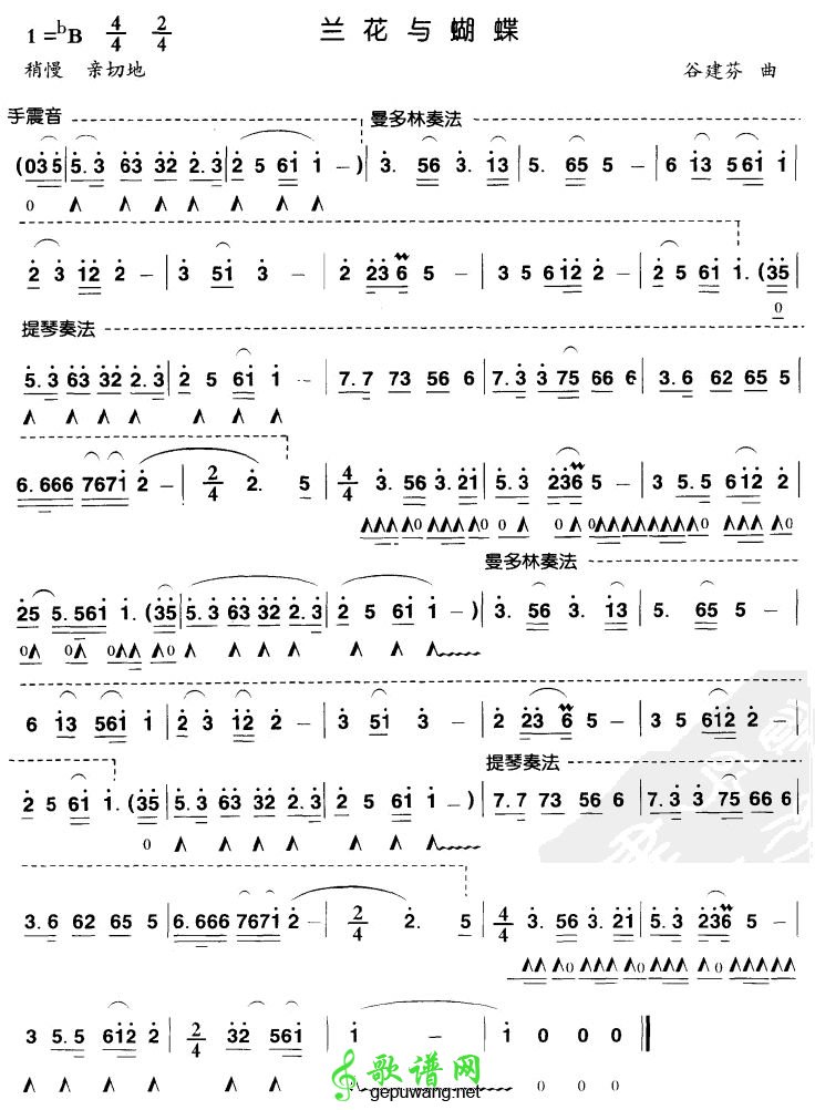 兰花与蝴蝶