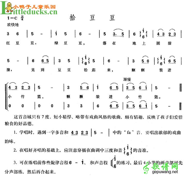 拾豆豆