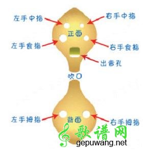 陶笛指法