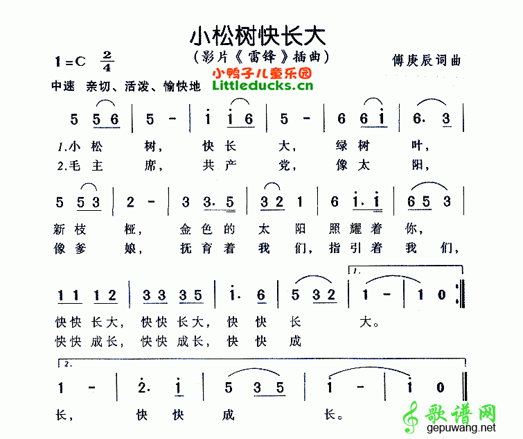 小松树快长大