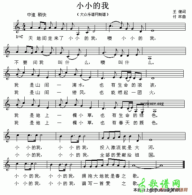 小小的我苏红小小的我