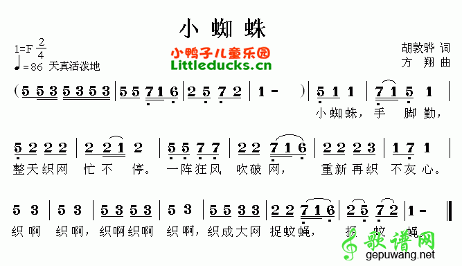 小蜘蛛