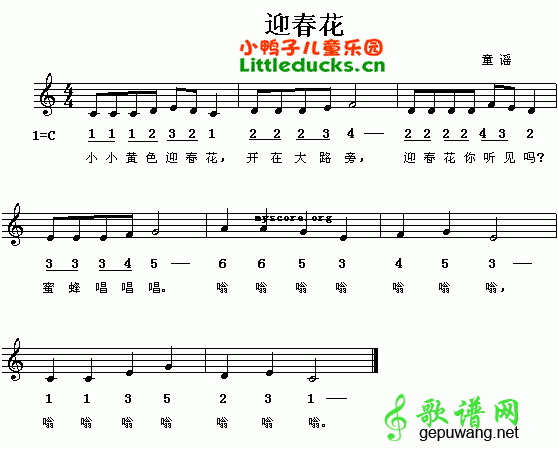 迎春花