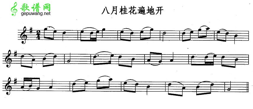 八月桂花遍地开