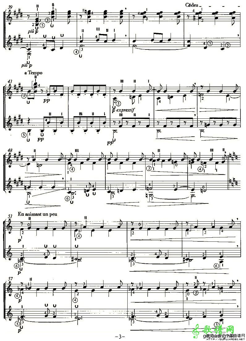 SERENADE OF THE DOLL