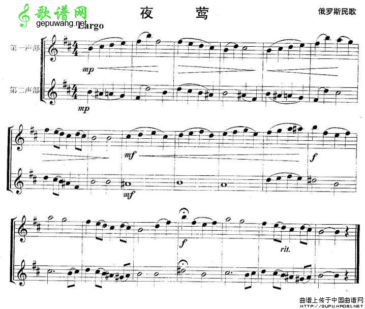 夜莺